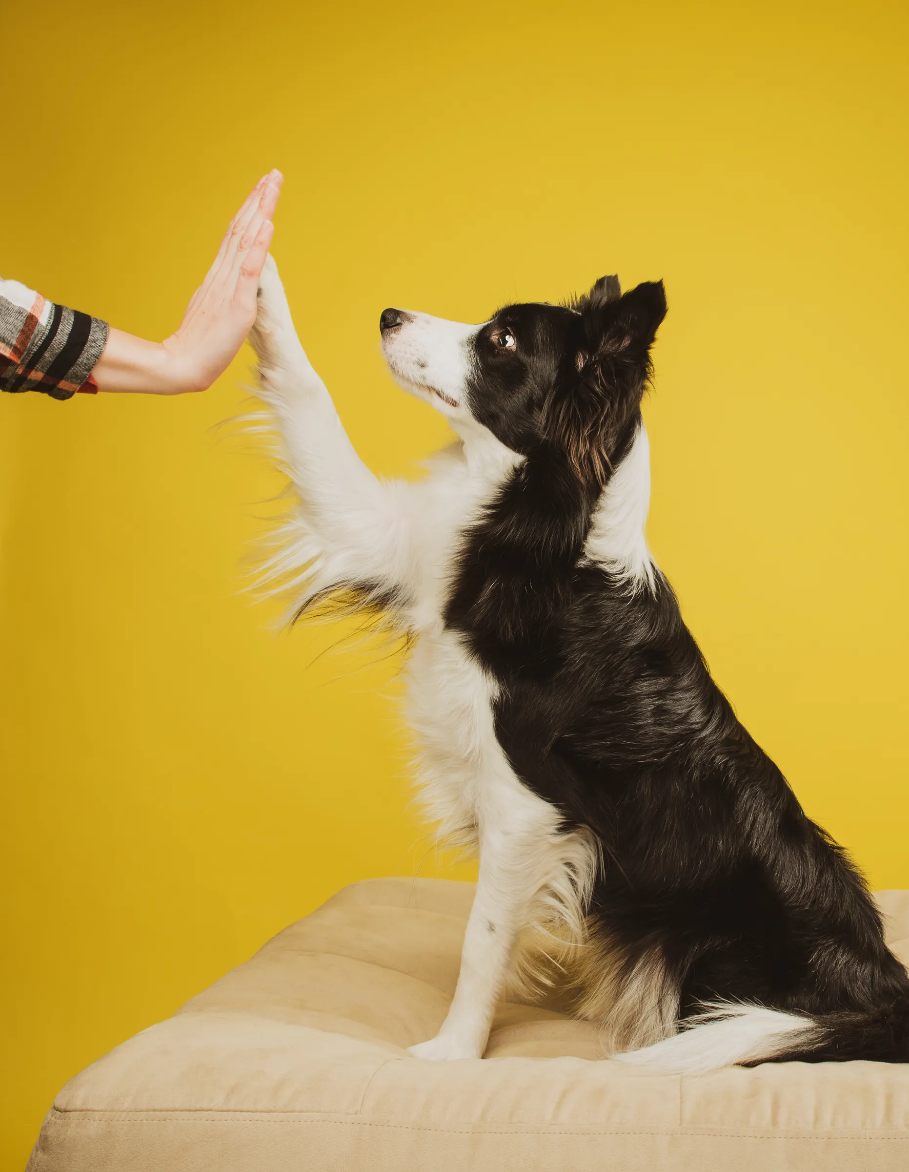 Family with Dog