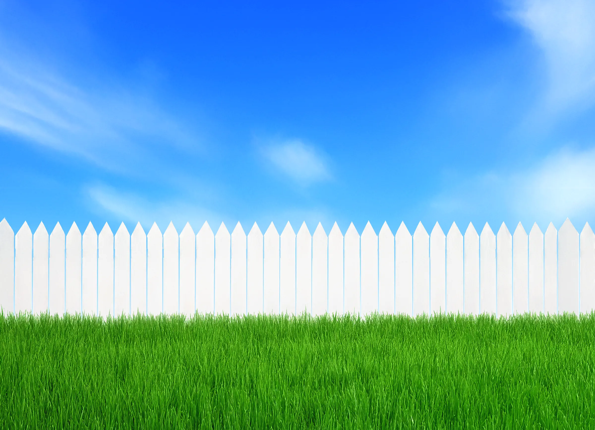 Golden retriever sitting in a grassy yard, looking at the camera
