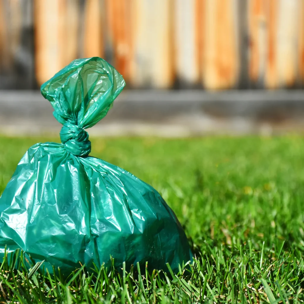 Green plastic bag filled with dog waste placed on grass in a backyard.