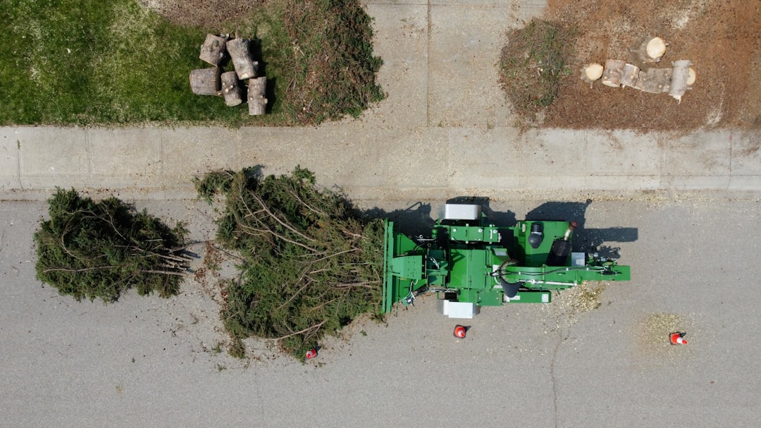Taming the Jungle: Your Complete Guide to Yard Waste Removal
