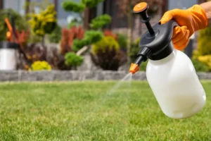 Yard sanitization spray treatment being applied to grass after dog waste removal