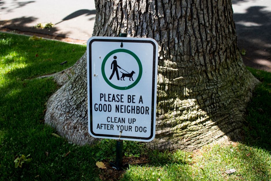 How to Find Reliable Dog Poop Yard Clean Up Services Near You